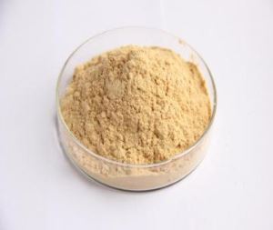 Organisk munkfruktextrakt v25%