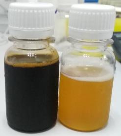 Munkfruktkoncentratjuice